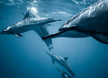 更衣室小道：七乐彩这期最怕的不是冷，是战意