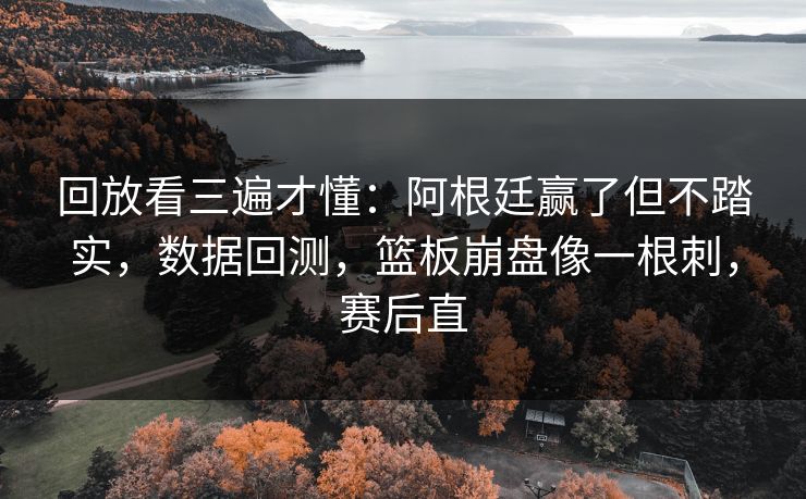回放看三遍才懂：阿根廷赢了但不踏实，数据回测，篮板崩盘像一根刺，赛后直