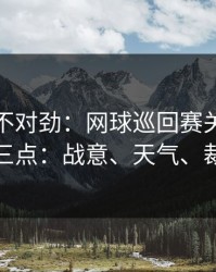 越看越不对劲：网球巡回赛关键一役我只看三点：战意、天气、裁判尺度