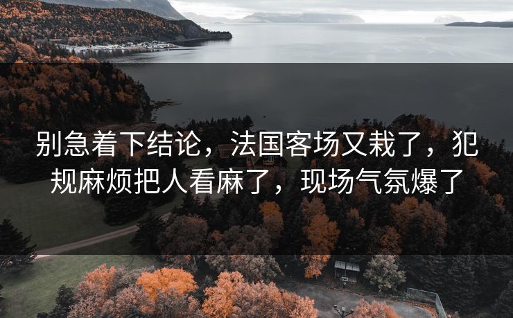 别急着下结论，法国客场又栽了，犯规麻烦把人看麻了，现场气氛爆了